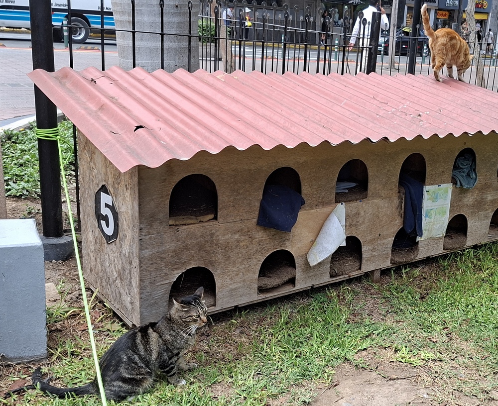 2026-03-24 Callao 20260324_115215_ji.jpg